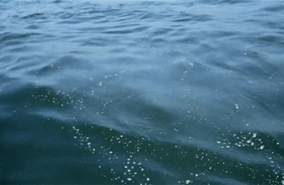 water sea GIF by University of California - Find & Share on GIPHY