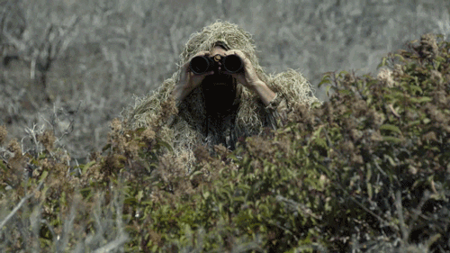 giphy.gif?cid=790b7611cf7afaf269fffeda81