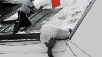 200.gif?cid=fc005b080b30b7e27f46994d271a10b9470cccda0e86e3fd&rid=200.gif&ct=g