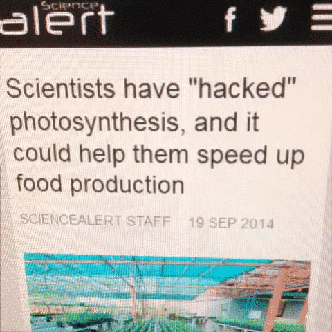 kuro vine hacking photosynthesis i'm in! GIF