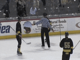hockey fail GIF by America's Funniest Home Videos
