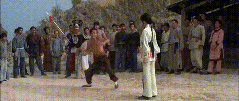 martial arts fight GIF by Shaw Brothers