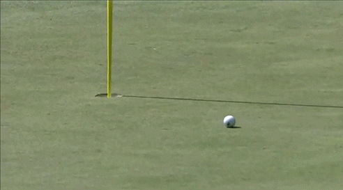 hole in one golf GIF
