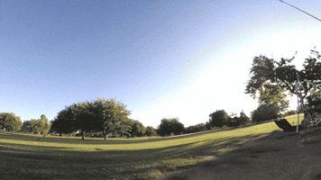 chrisslowik amazing tree fast whoa GIF