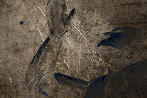 rebirth  GIF