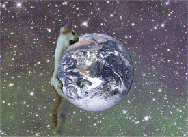 lucianoferreira cat world gato mundo GIF