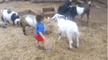 GIF by World's Funniest