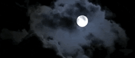 filmlinc  moon sky cloud nyff