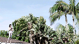 roof top | Tag | PrimoGIF