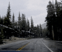 raya  GIF