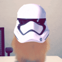 Star Wars Dog GIF by GIPHY CAM