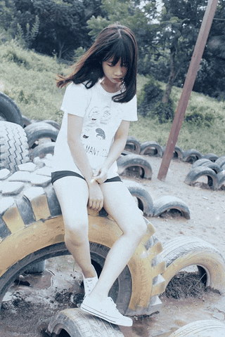 windfall  GIF