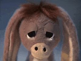 Donkey GIFs - Find & Share on GIPHY