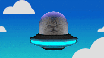 Cat Flying GIF by ibeefalone