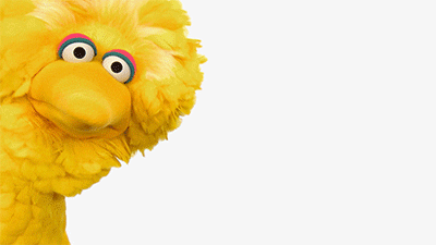 big bird