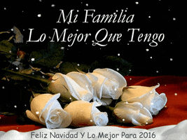 rosas  GIF