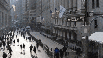 citywire  GIF