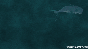 moby dick swimming GIF by Pugatory