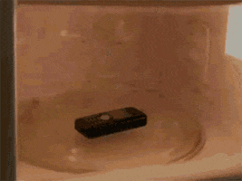 blank  GIF