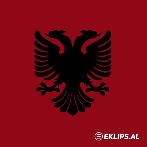 EKLIPSal albania kosova albanian shqip GIF