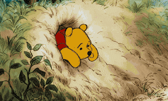 Winnie The Pooh Friendship GIF by Disney