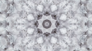 Callouts salt flower kaleidoscope GIF