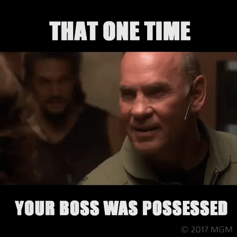 davidread  GIF