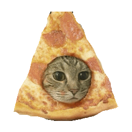 Hungry Cat Sticker by imoji