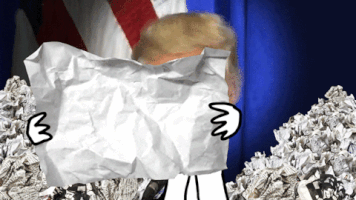 propaganda news trump fake fake news GIF