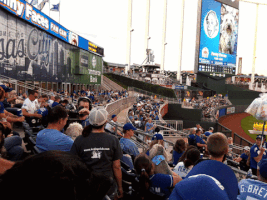 travispflanz kauffman stadium bark at the park kcdogclub kc dog club GIF
