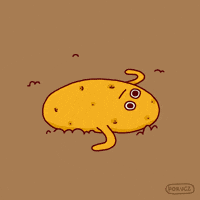 200w.gif
