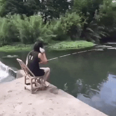 hoahoahoa  GIF