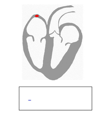 GifsdaFisio heart coracao ecg GIF