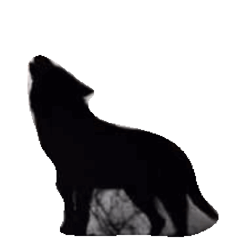 Wolf Sticker by imoji for iOS & Android | GIPHY