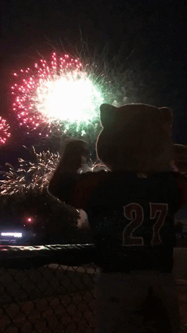 baseball fireworks GIF by Kane County Cougars