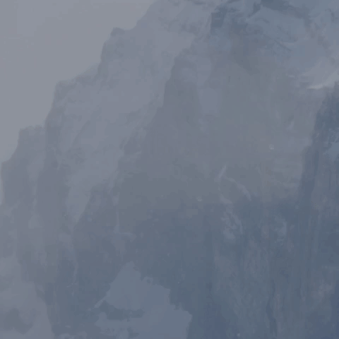 andreacassinari 5x1000 aquila. pngp GIF