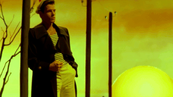 katsliman querelle GIF