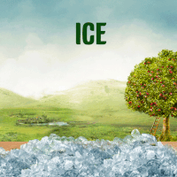 200.gif?cid=fc005b08f11f08a45466be82a51495b548d42135f7594b74&rid=200.gif&ct=g