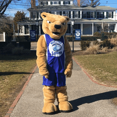 mascot GIF by Wheaton College (MA)