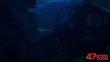 47MetersDown  GIF