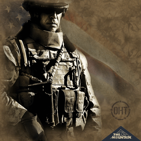 mountainartwear usa army military appreciation GIF