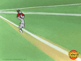 Home Run Win GIF by Looney Tunes