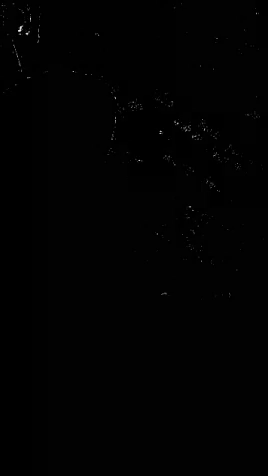 value  GIF
