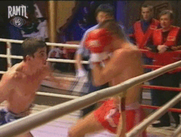 Sergey_Zayashnikov muay thai ramtl sergey zayashnikov GIF