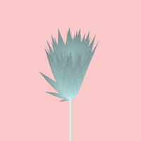 Flower Blooming GIF by Bor