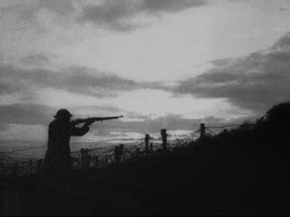 world war i sniper GIF by US National Archives