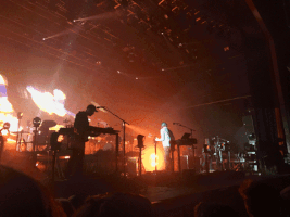 lolo2cool  GIF