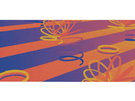 animation put of the loop GIF by alcinoo