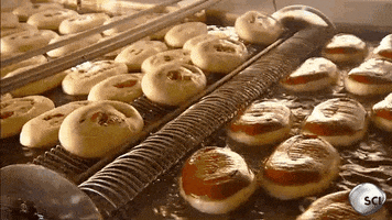 Donut GIF by Discovery