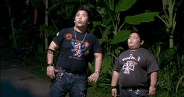 inf  GIF